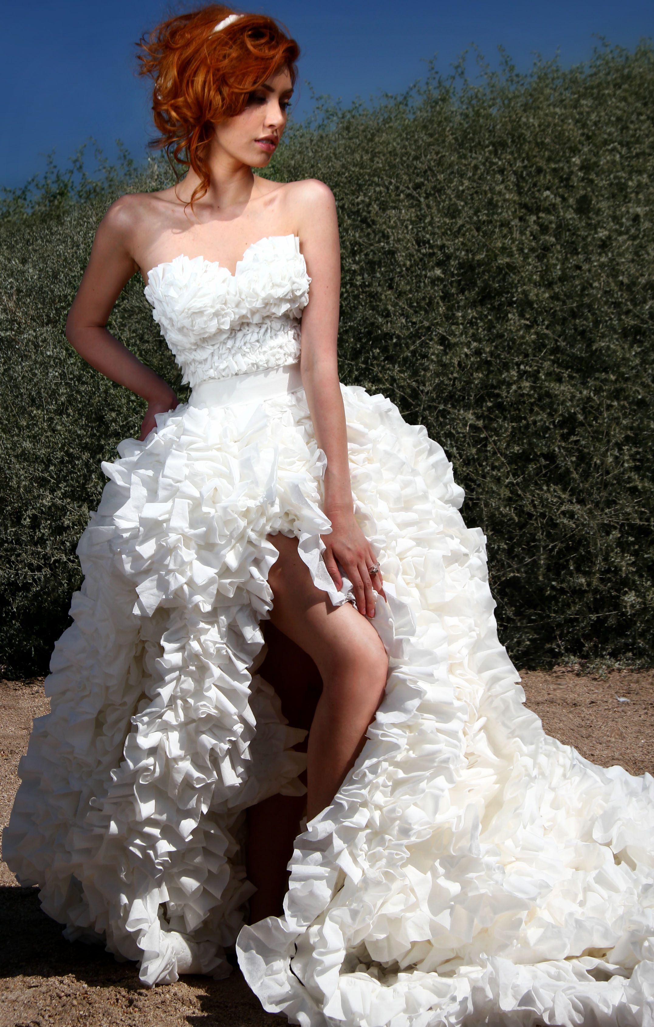 The 2012 Toilet Paper Wedding Dress Contest